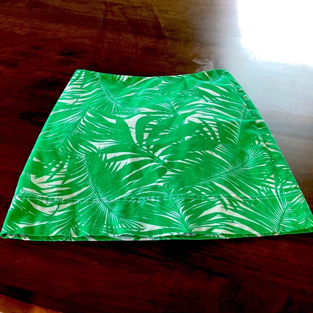 Talbots Skirt